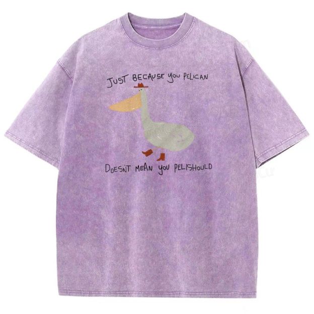 Just-becavse-you-pelican-doesnt-mean-you-pelishould-washed-t-shirt