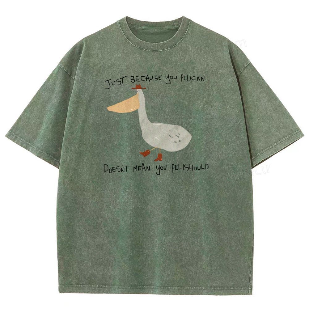 Just-becavse-you-pelican-doesnt-mean-you-pelishould-washed-t-shirt