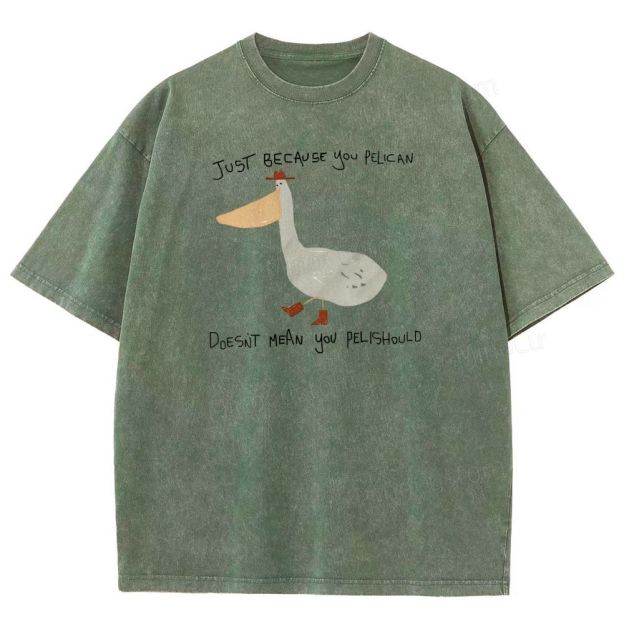 Just-becavse-you-pelican-doesnt-mean-you-pelishould-washed-t-shirt