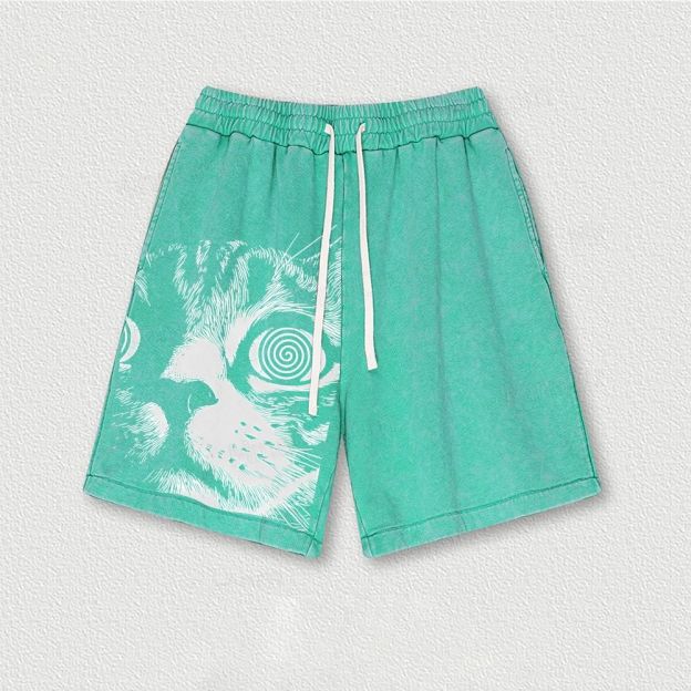 Cat Washed Vintage Shorts 
