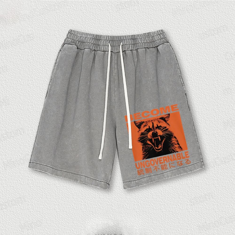 Ungovernable Raccoon Washed Vintage Shorts 
