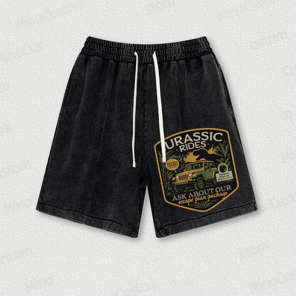 Jurassic Rides Geek Washed Vintage Shorts 