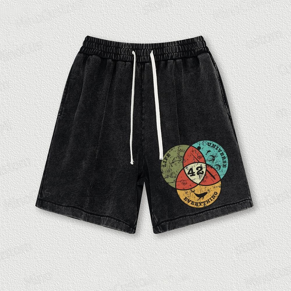 Life, The Universe & Everything Nerdy Graphic Washed Vintage Shorts