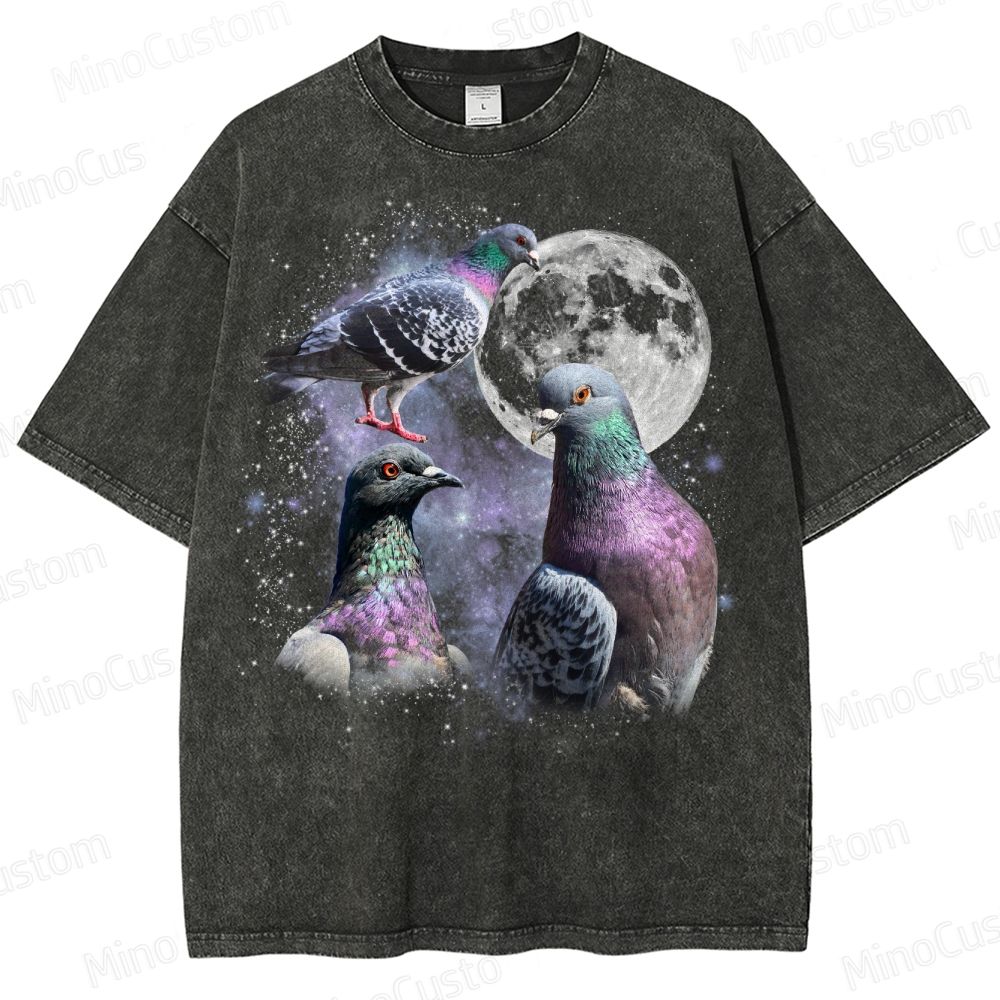 Vintage Pigeon Moon Washed T-Shirt