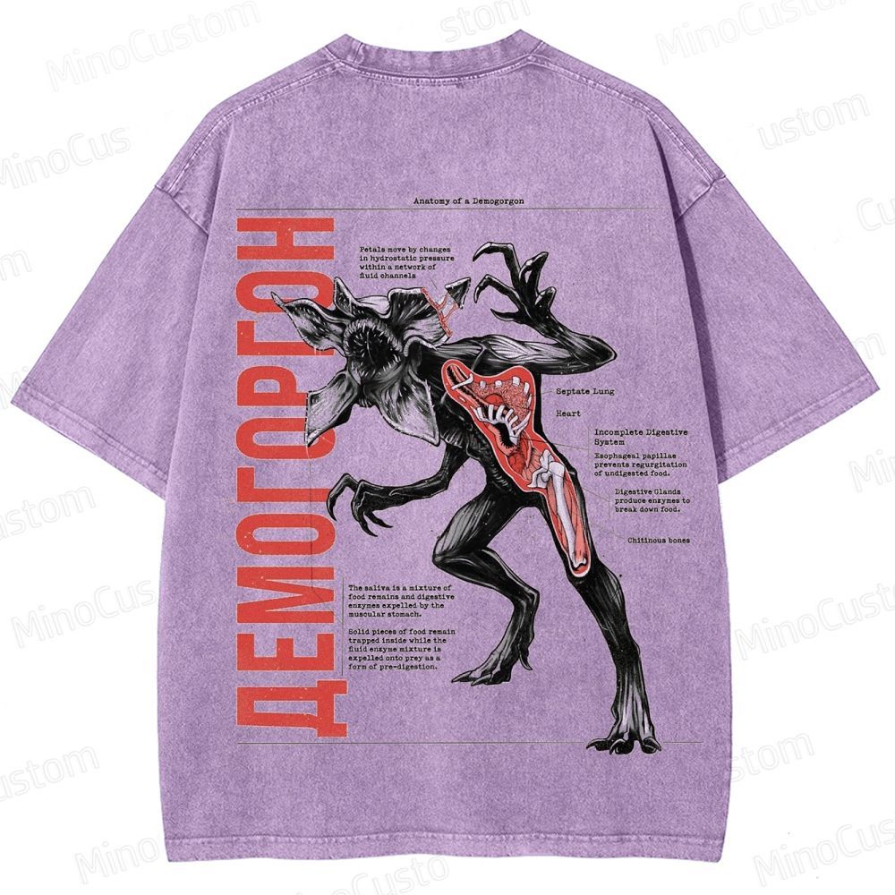 Vintage "Anatomy of a Demogorgon" Stranger Things Graphic Washed T - Shirt