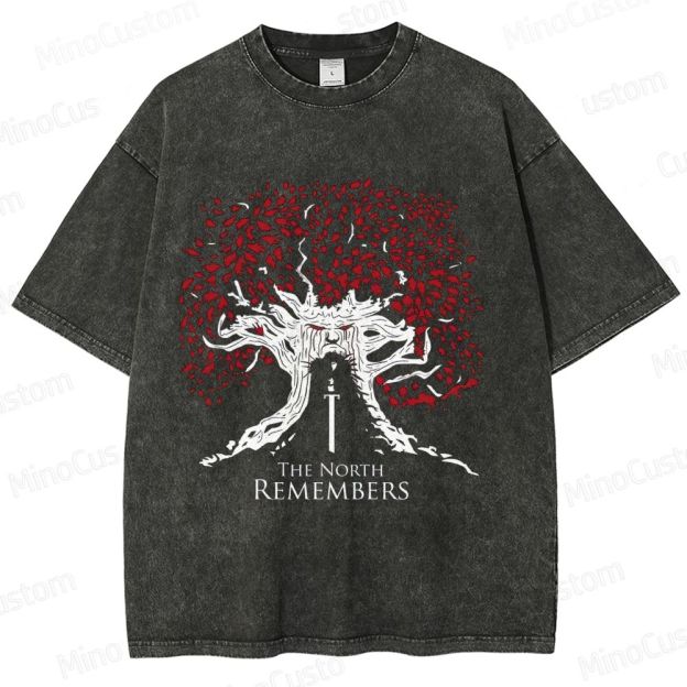 Game of Thrones "The North Remembers" Washed T - shirt