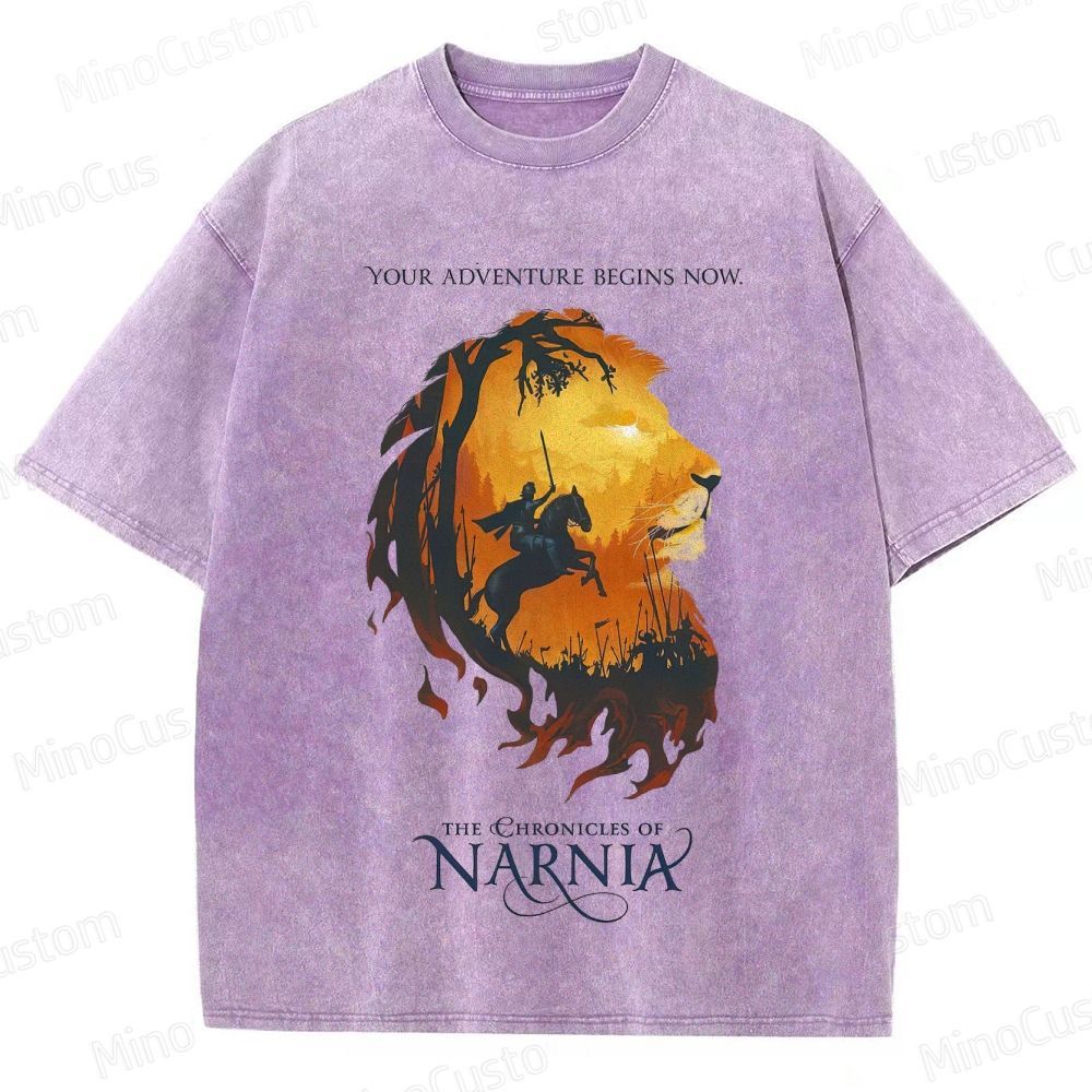 Vintage Washed The Chronicles of Narnia Novel & Film Graphic T - shirt