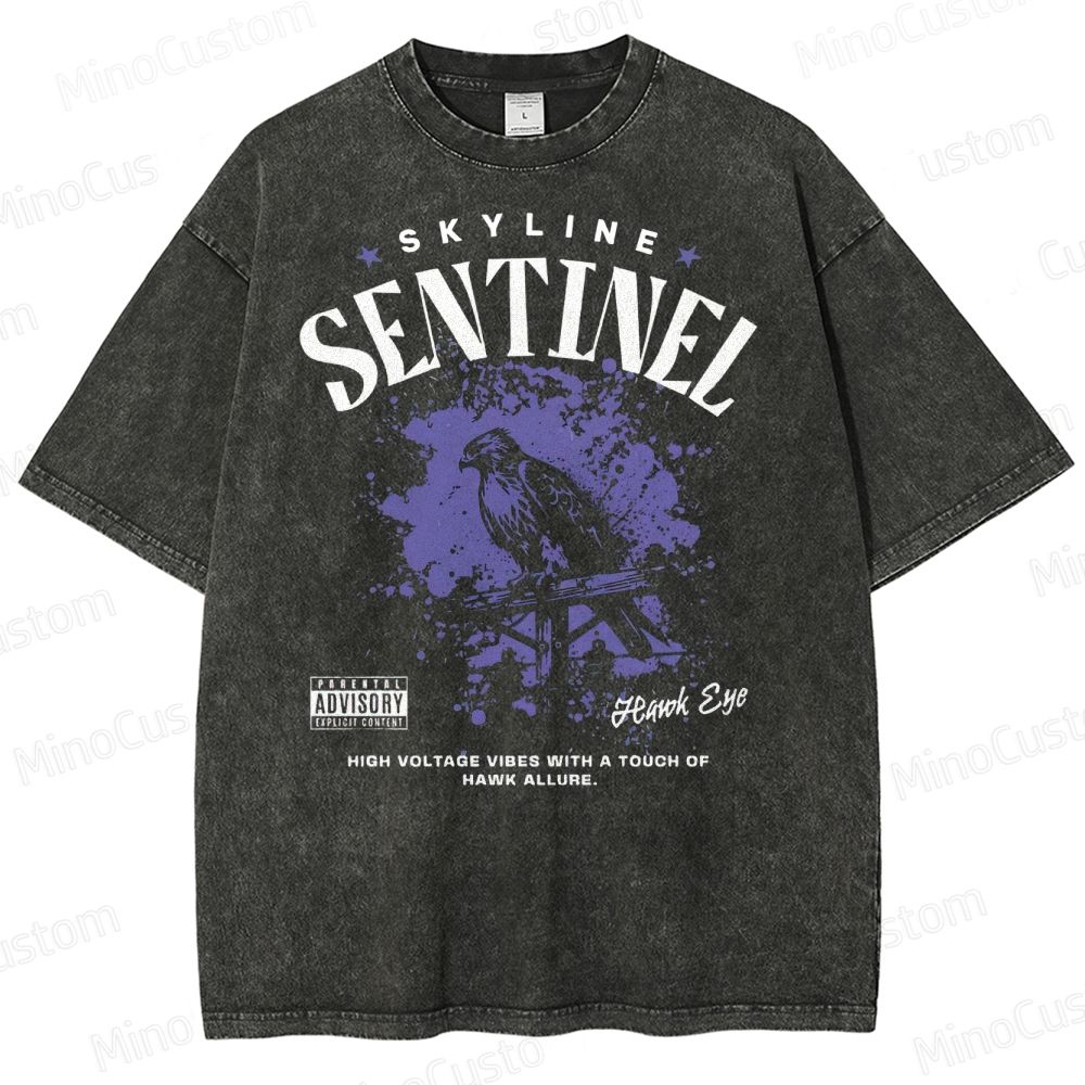 Skyline Sentinel Washed T-Shirt 