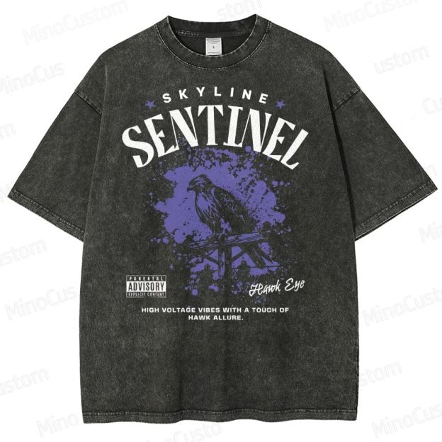 Skyline Sentinel Washed T-Shirt 