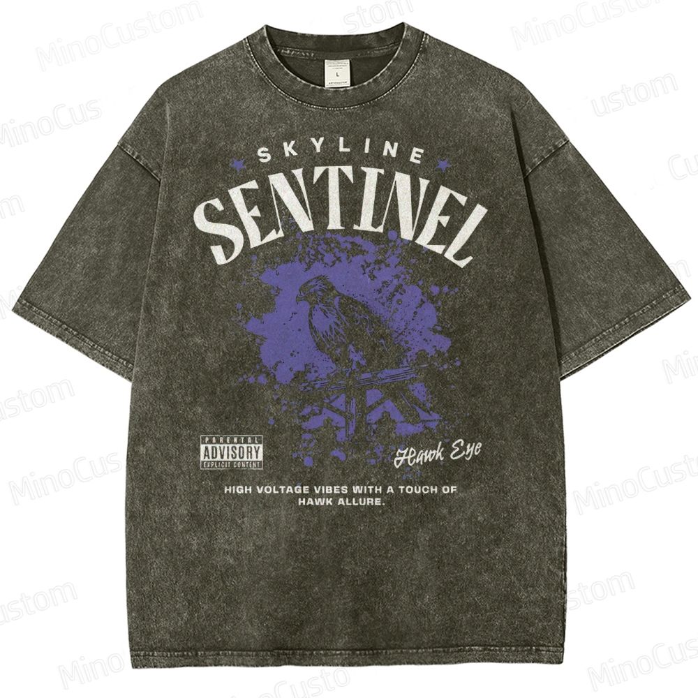 Skyline Sentinel Washed T-Shirt 