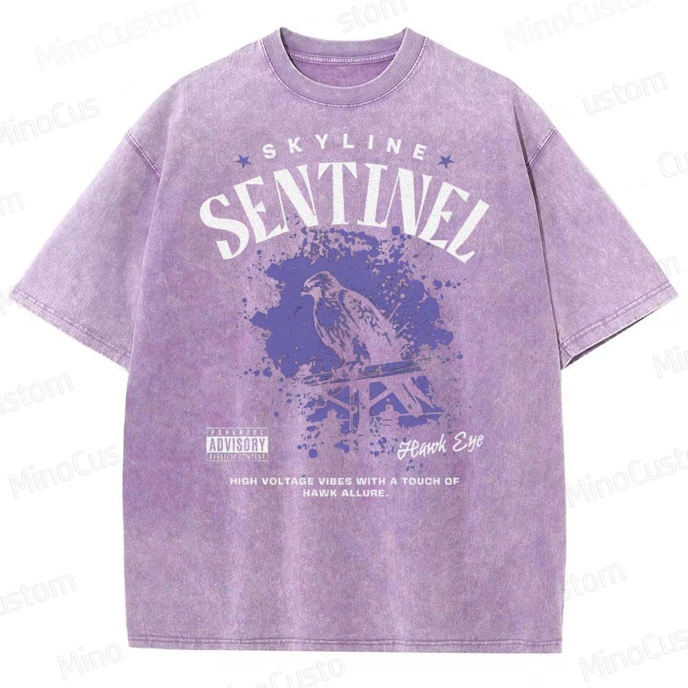 Skyline Sentinel Washed T-Shirt 