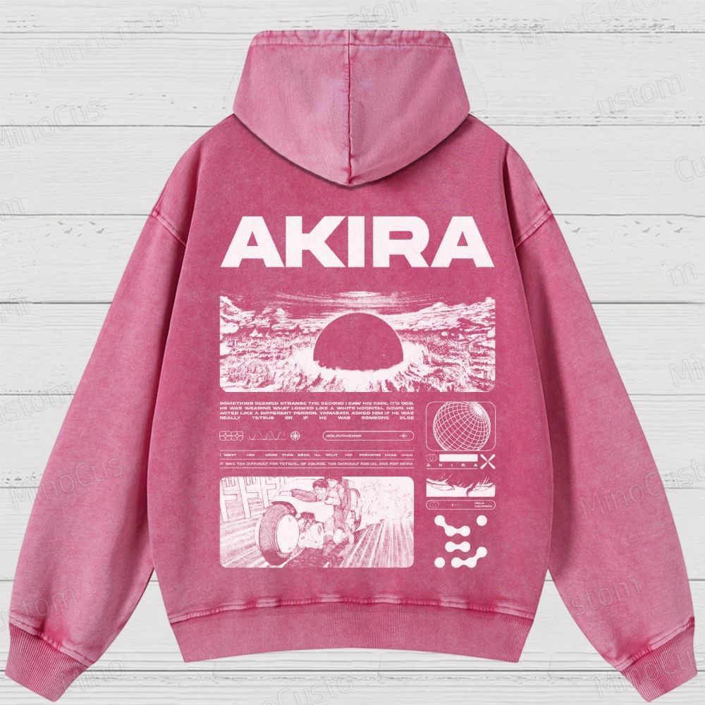 Unisex Fit Destruction lll  Washed Hoodies 