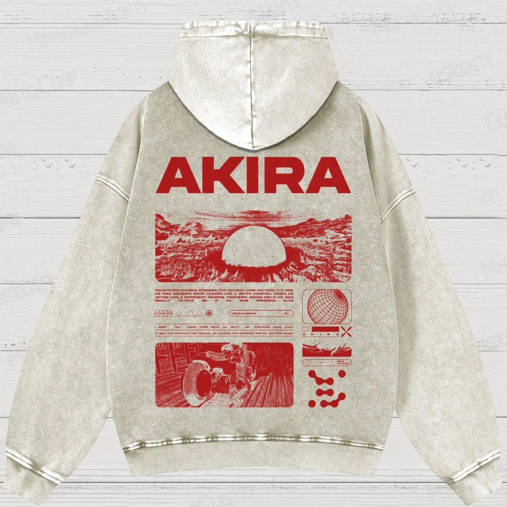 Unisex Fit Destruction lll  Washed Hoodies 