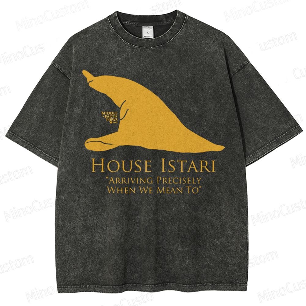 House Istari Wizard Sigil Washed T-Shirt 