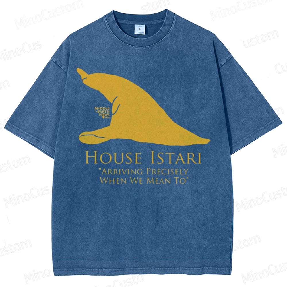 House Istari Wizard Sigil Washed T-Shirt 