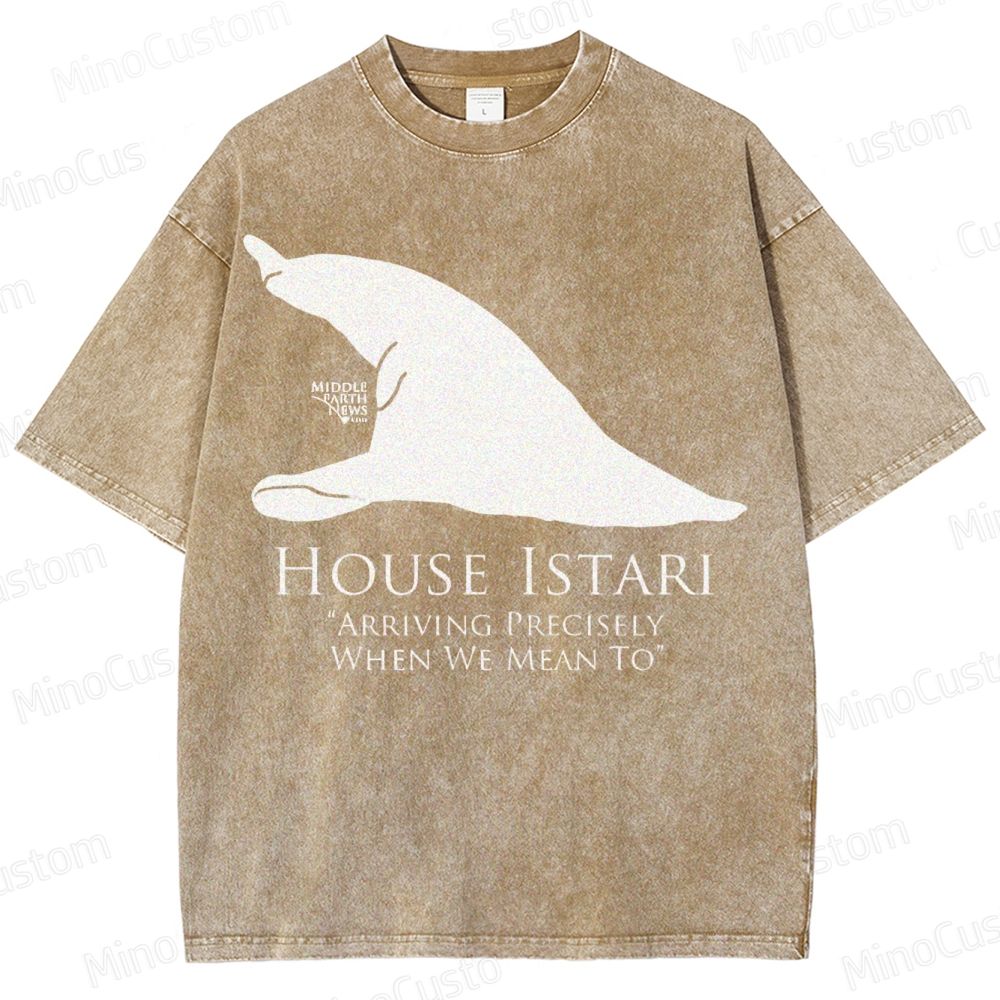 House Istari Wizard Sigil Washed T-Shirt 