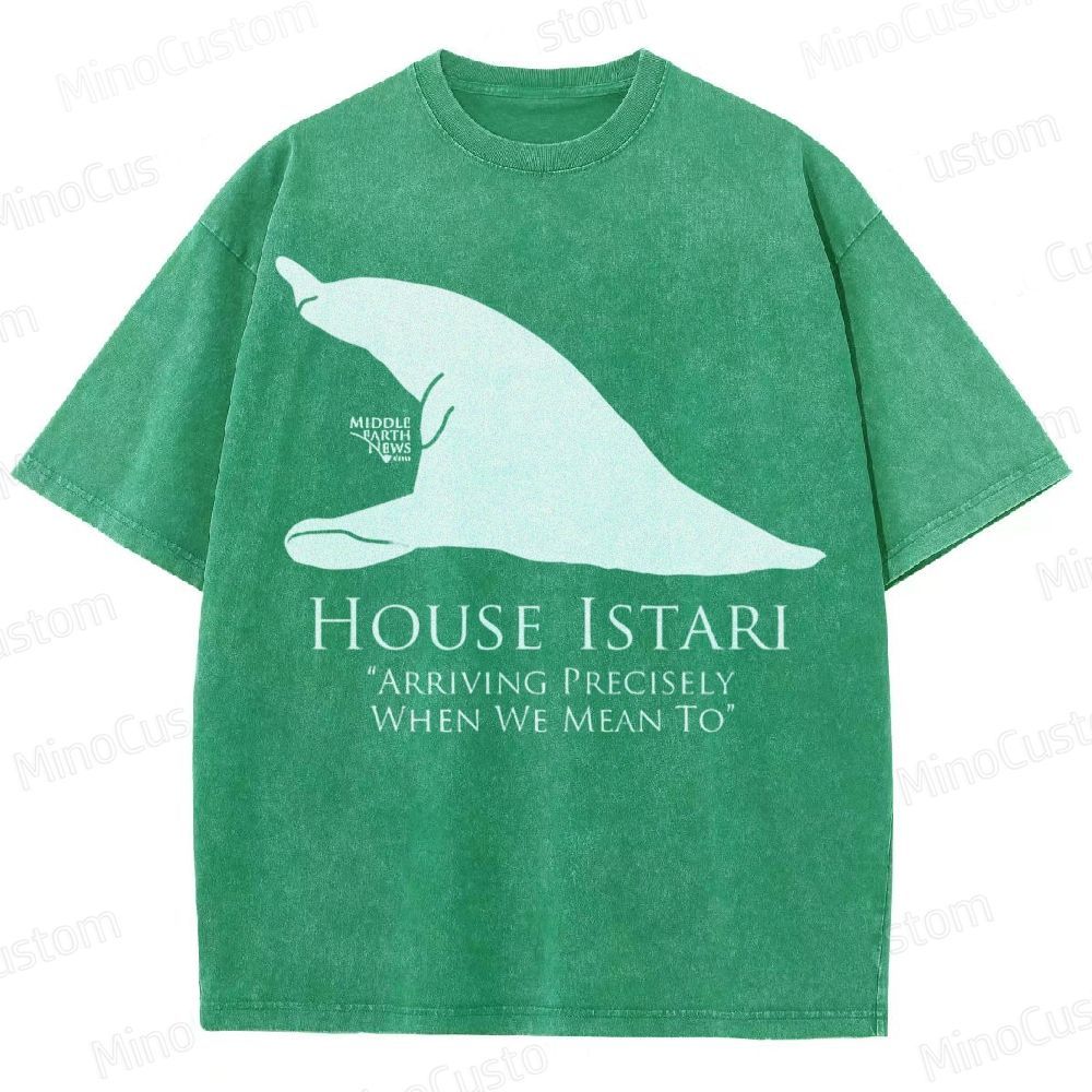 House Istari Wizard Sigil Washed T-Shirt 