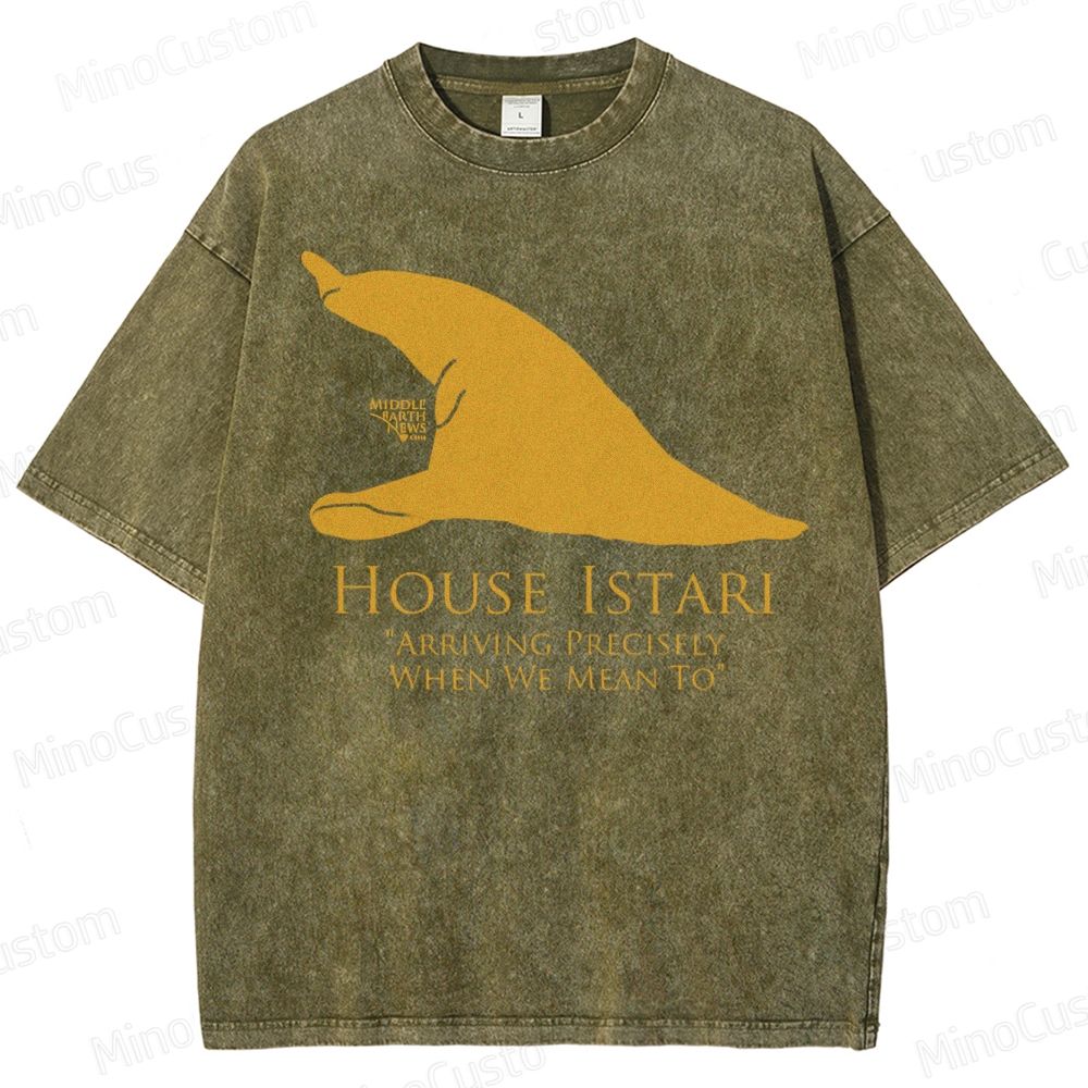 House Istari Wizard Sigil Washed T-Shirt 
