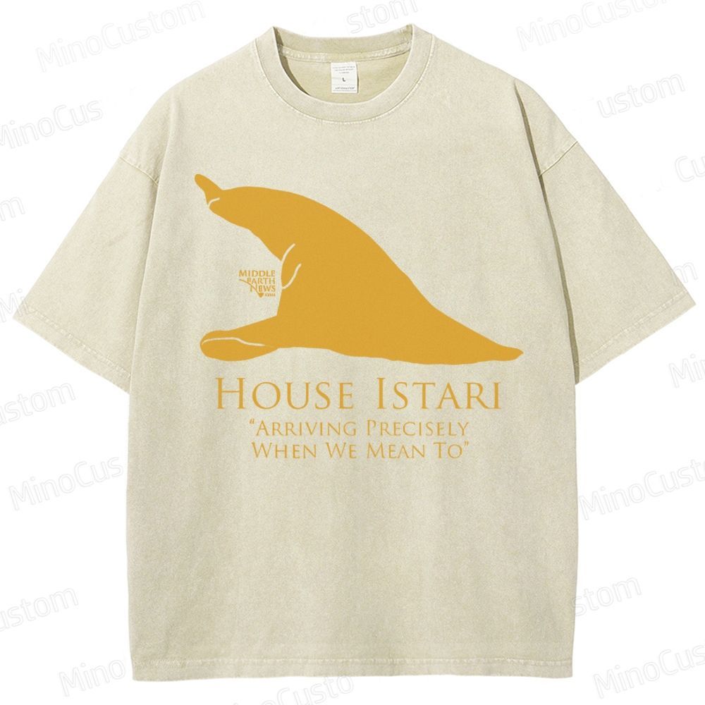 House Istari Wizard Sigil Washed T-Shirt 