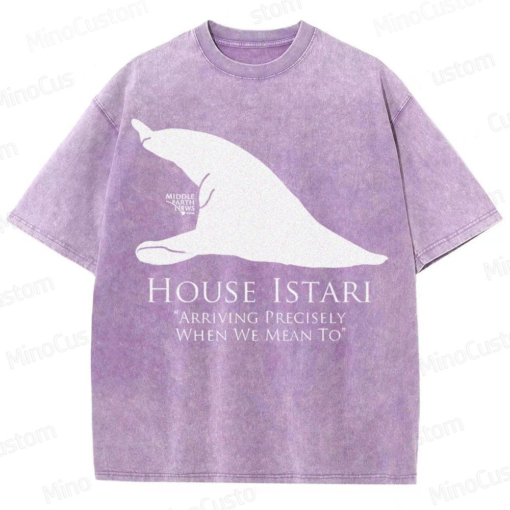 House Istari Wizard Sigil Washed T-Shirt 
