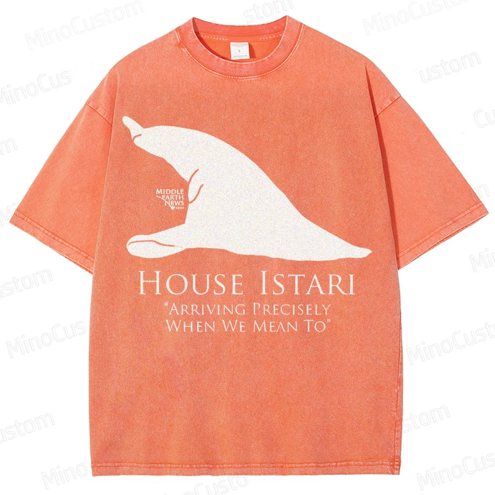 House Istari Wizard Sigil Washed T-Shirt 