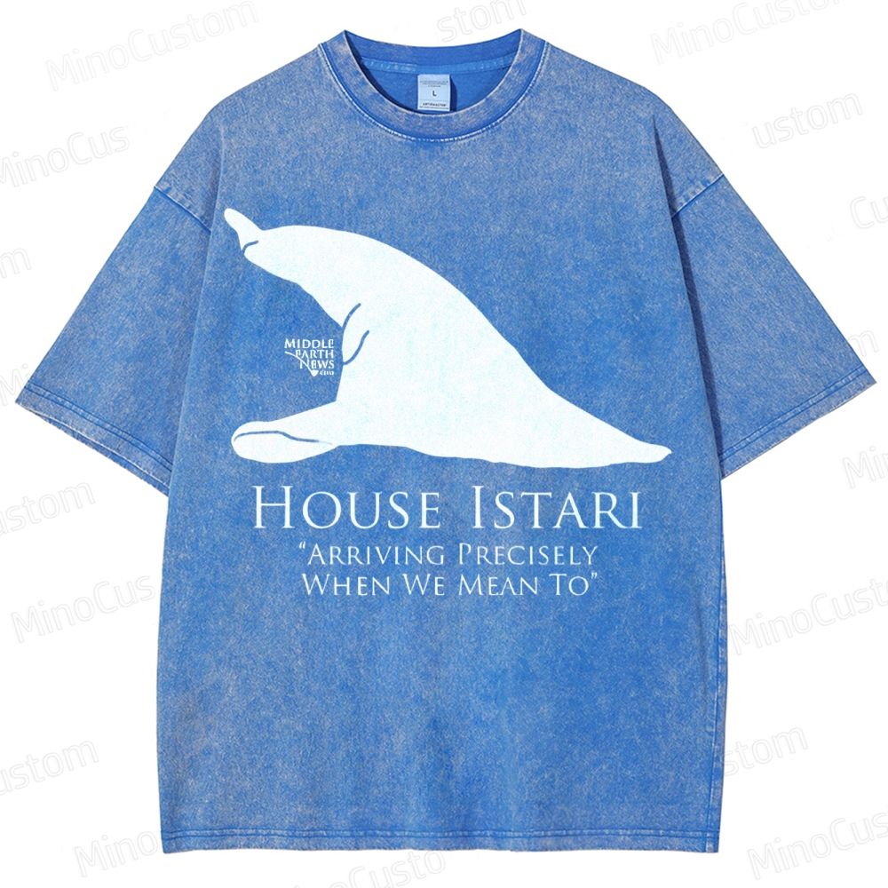 House Istari Wizard Sigil Washed T-Shirt 