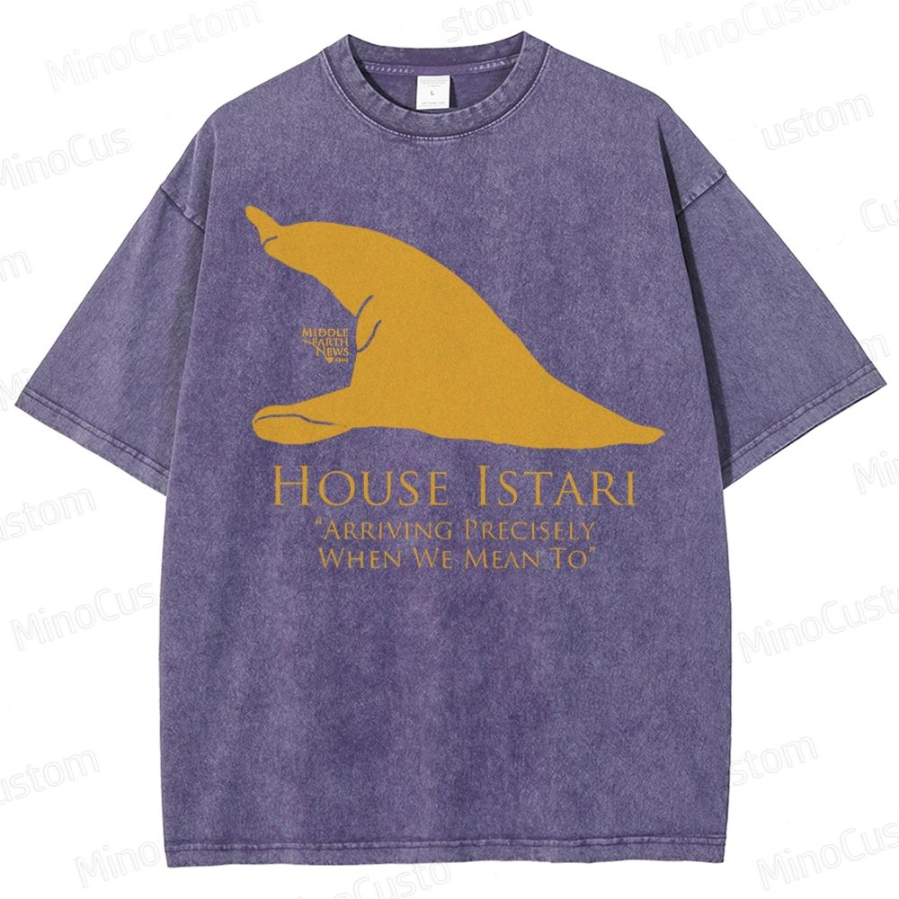 House Istari Wizard Sigil Washed T-Shirt 