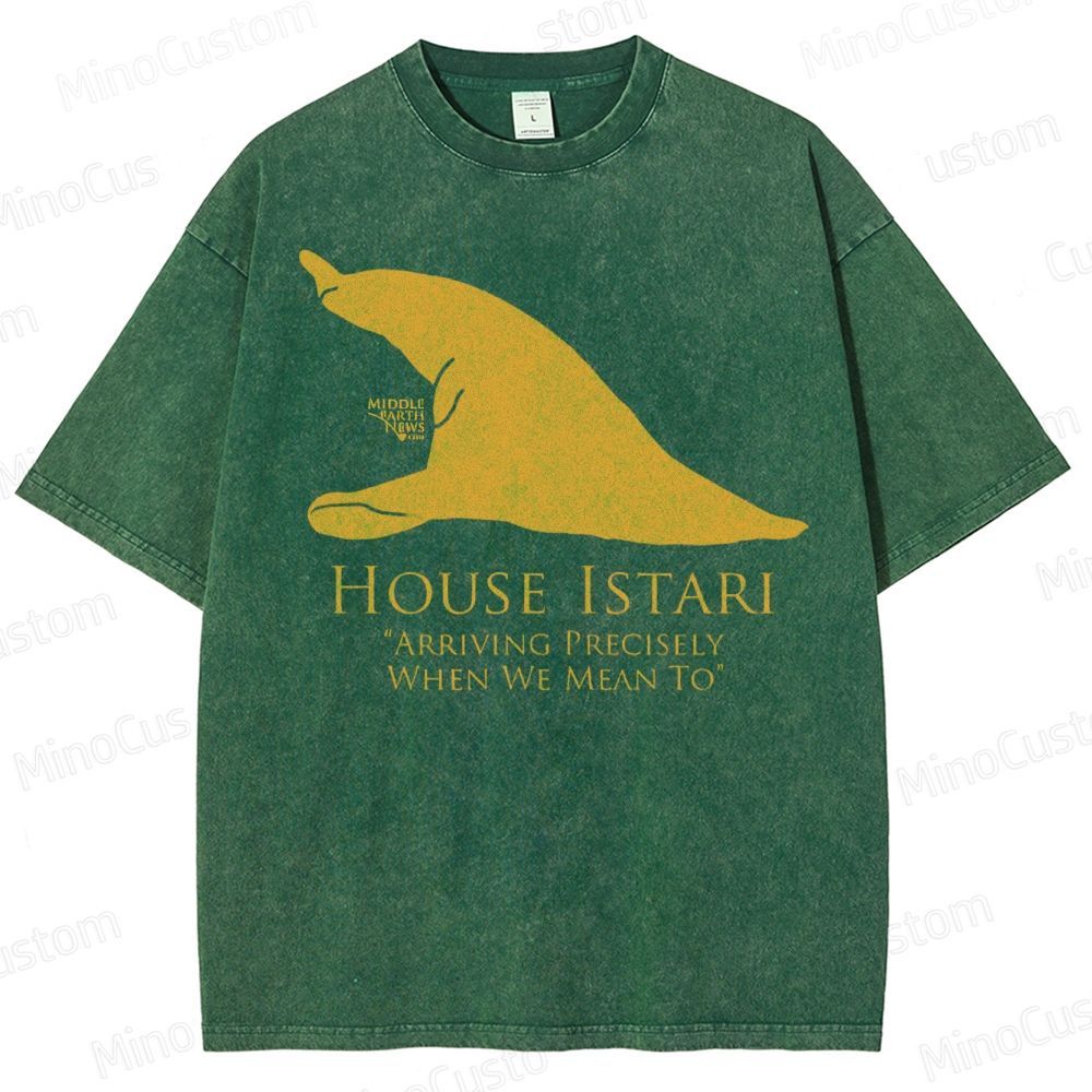 House Istari Wizard Sigil Washed T-Shirt 