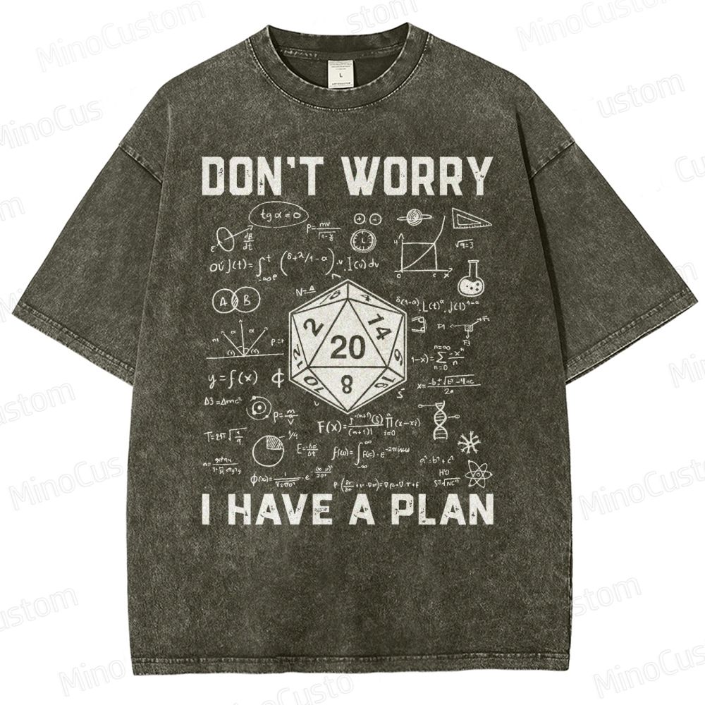 Don't Worry I Have A Plan Funny Washed T-Shirt