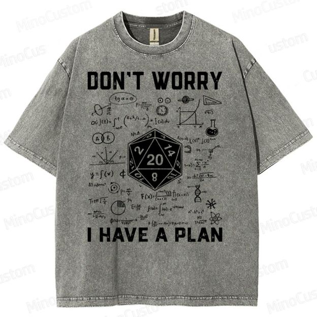 Don't Worry I Have A Plan Funny Washed T-Shirt