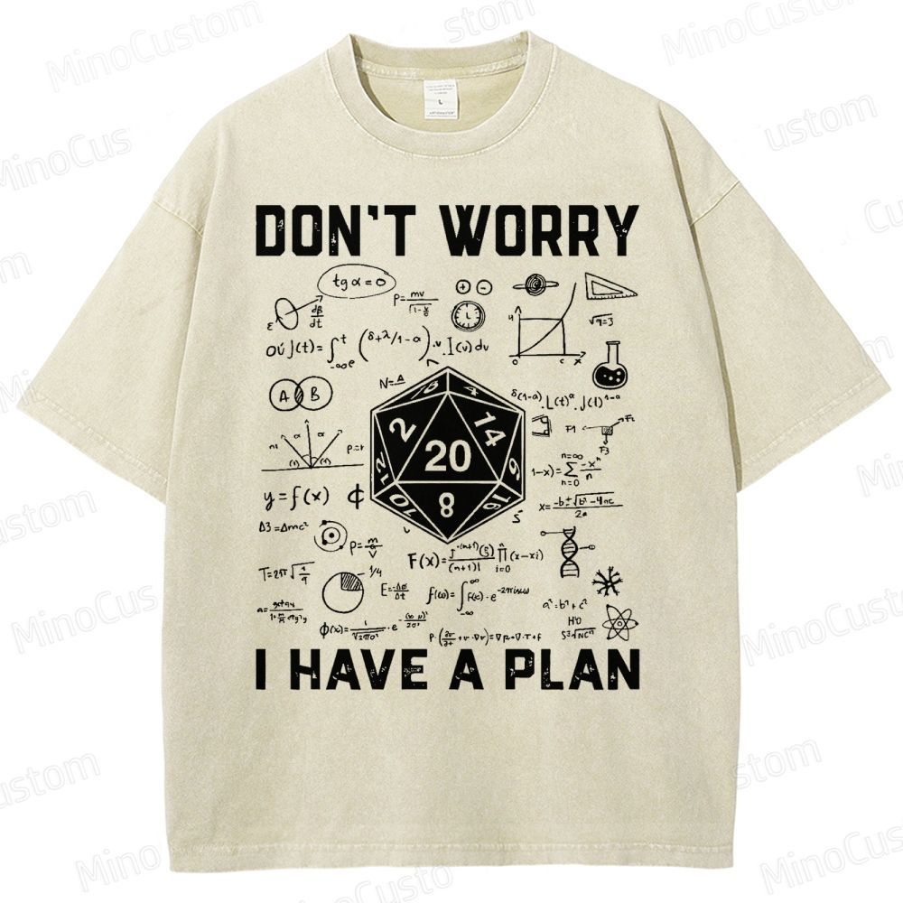 Don't Worry I Have A Plan Funny Washed T-Shirt