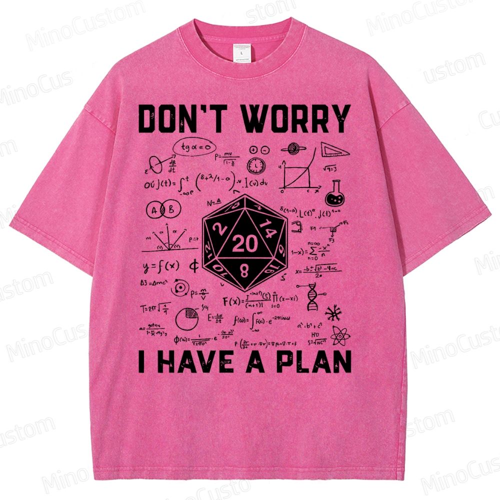 Don't Worry I Have A Plan Funny Washed T-Shirt