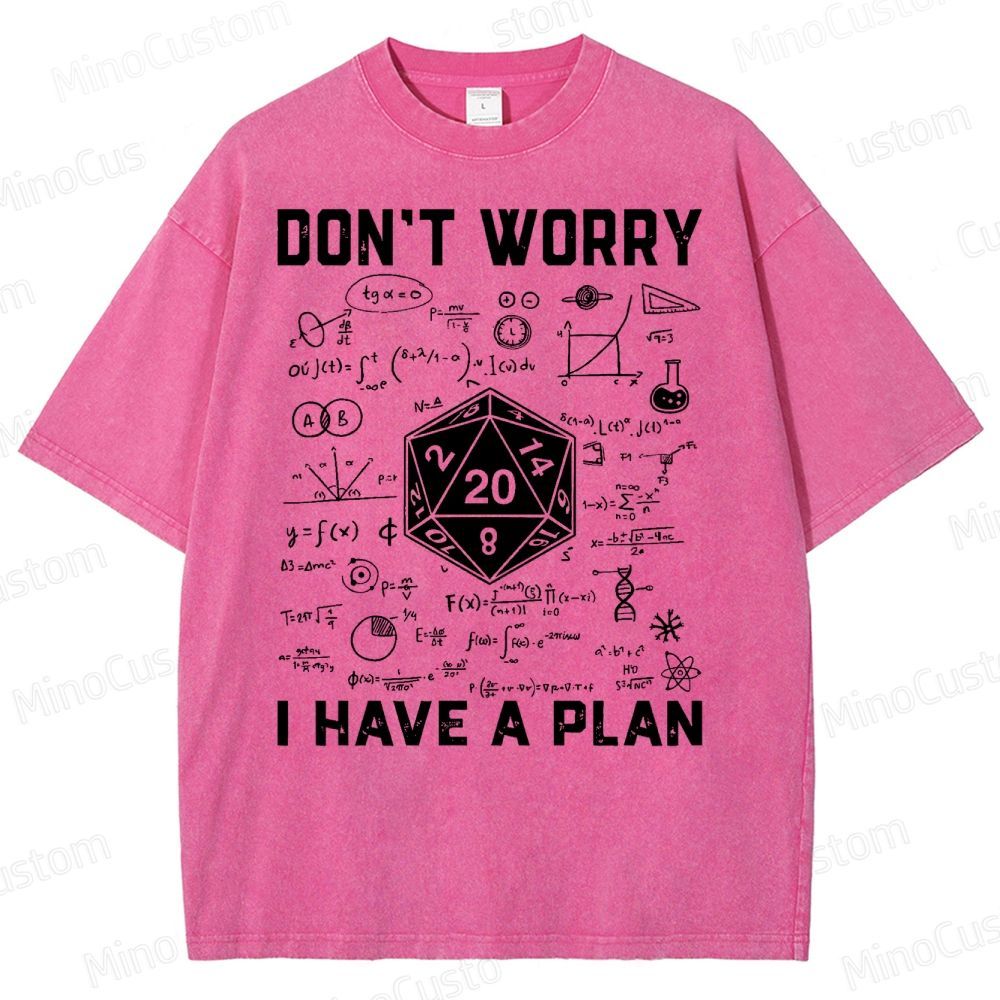 Don't Worry I Have A Plan Funny Washed T-Shirt