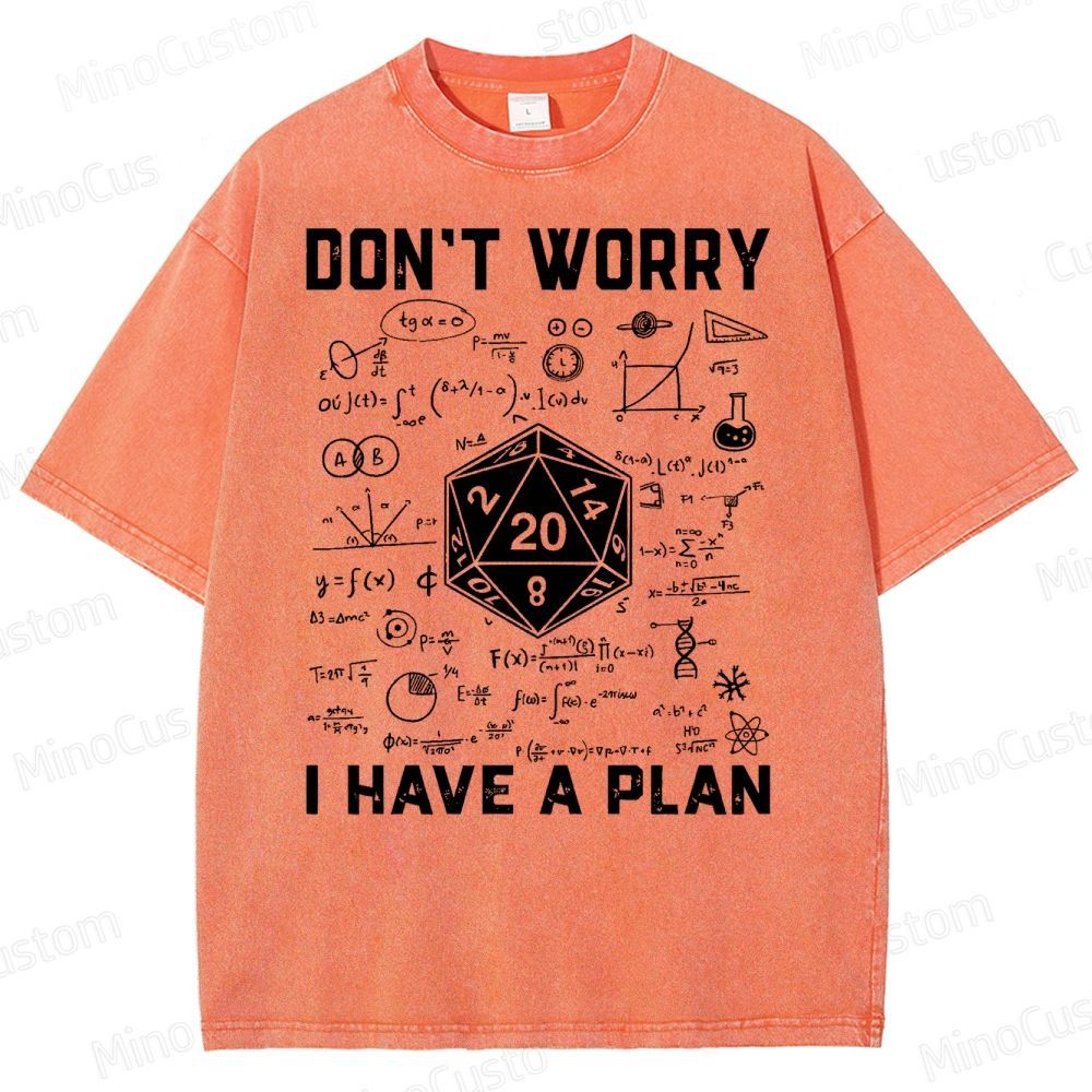 Don't Worry I Have A Plan Funny Washed T-Shirt