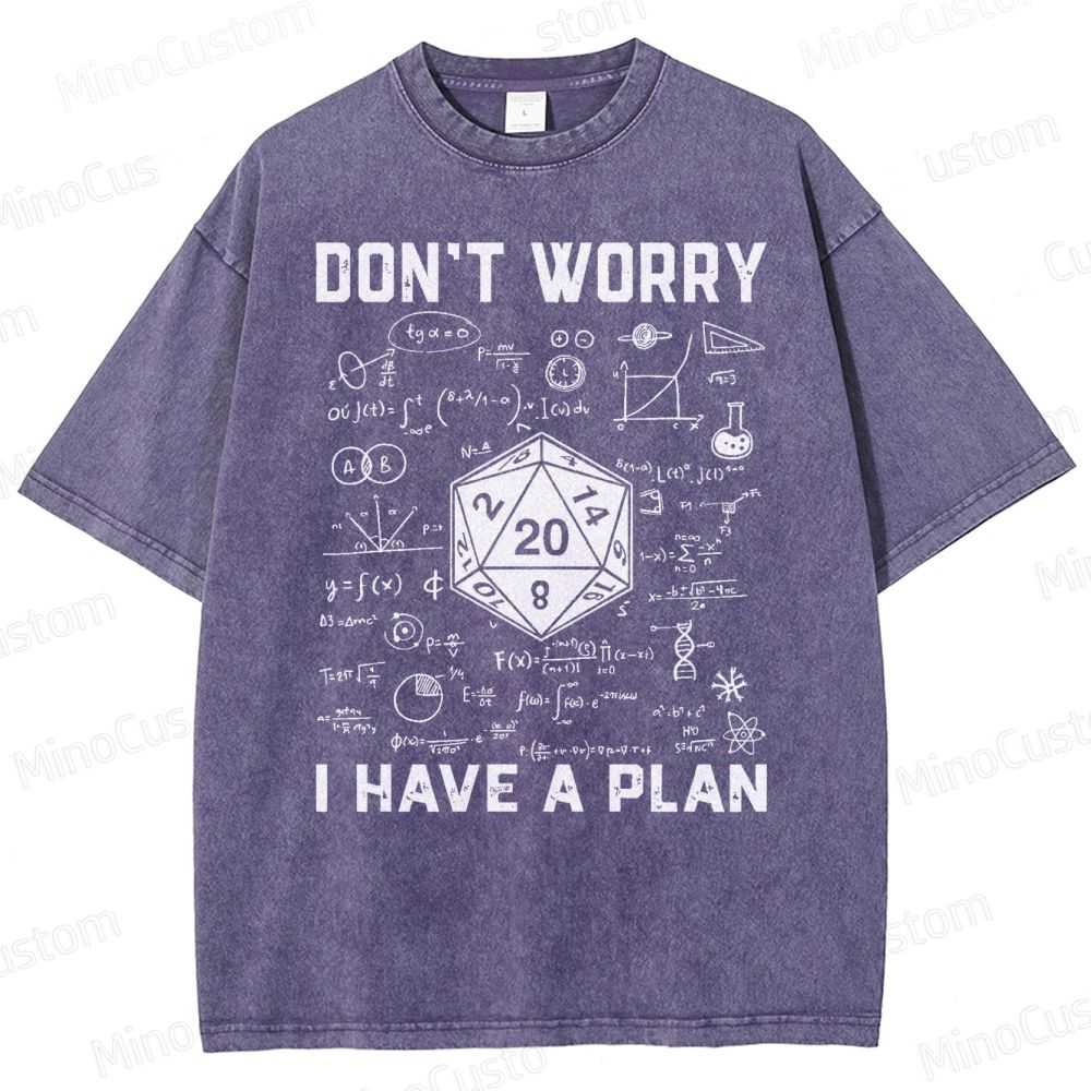 Don't Worry I Have A Plan Funny Washed T-Shirt