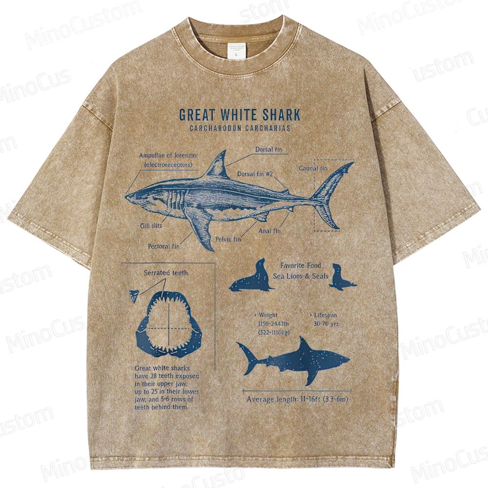 Great White Shark Anatomy Graphic Washed T - Shirt
