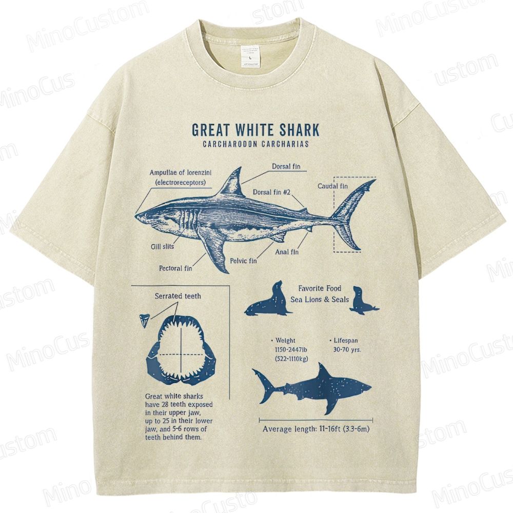 Great White Shark Anatomy Graphic Washed T - Shirt