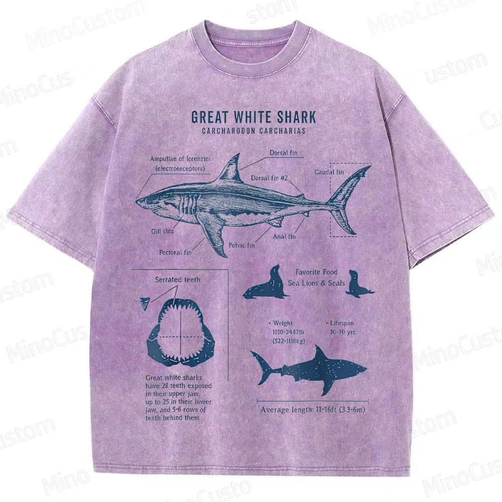 Great White Shark Anatomy Graphic Washed T - Shirt