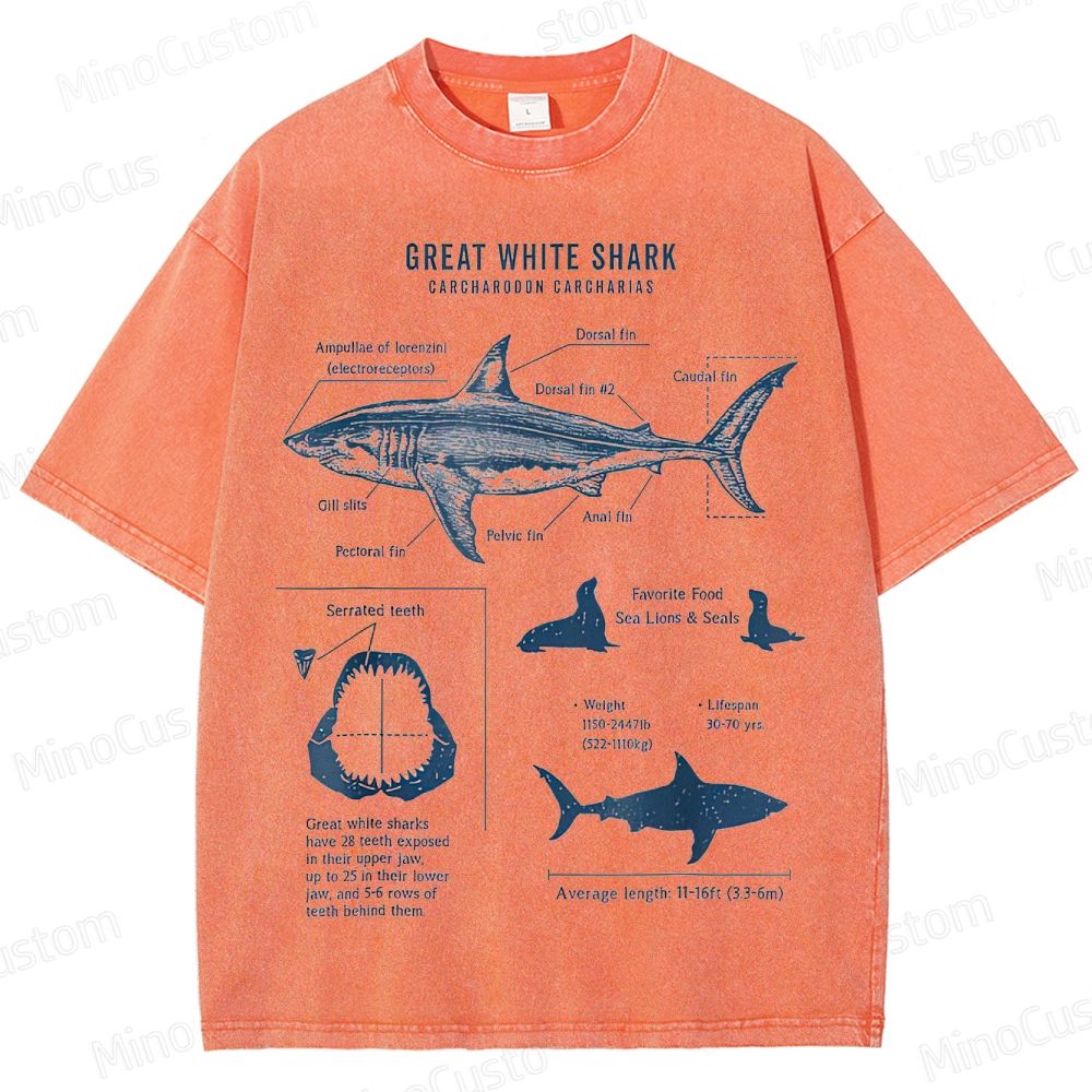 Great White Shark Anatomy Graphic Washed T - Shirt