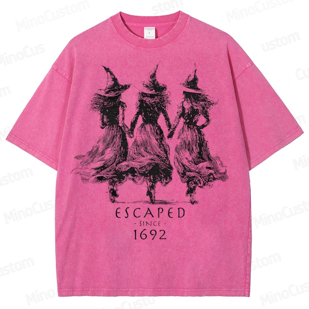Witch Sisters Vintage Halloween Washed T-Shirt
