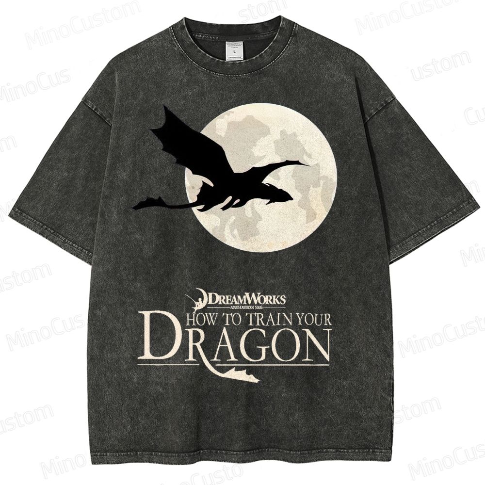 "How to Train Your Dragon" Moonlight Silhouette Washed T-Shirt