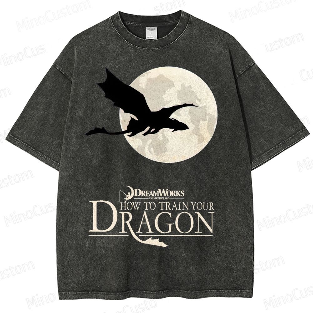 "How to Train Your Dragon" Moonlight Silhouette Washed T-Shirt