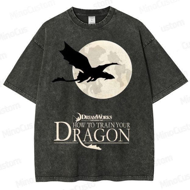 "How to Train Your Dragon" Moonlight Silhouette Washed T-Shirt