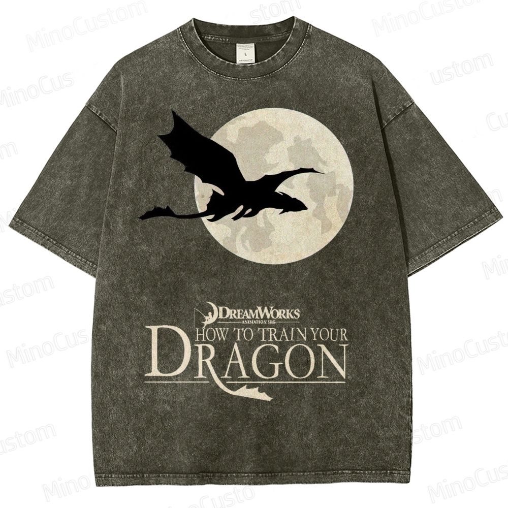 "How to Train Your Dragon" Moonlight Silhouette Washed T-Shirt