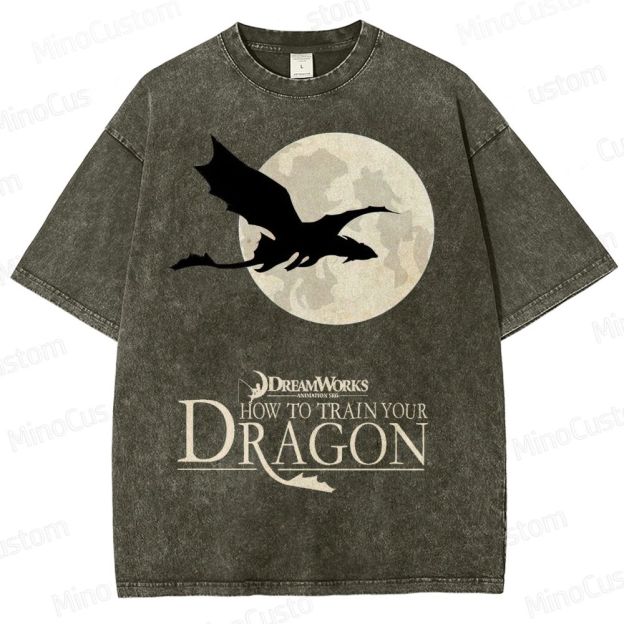 "How to Train Your Dragon" Moonlight Silhouette Washed T-Shirt
