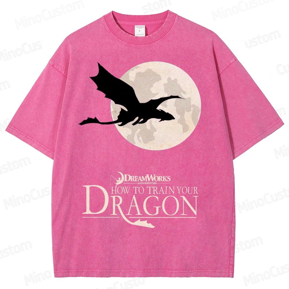"How to Train Your Dragon" Moonlight Silhouette Washed T-Shirt