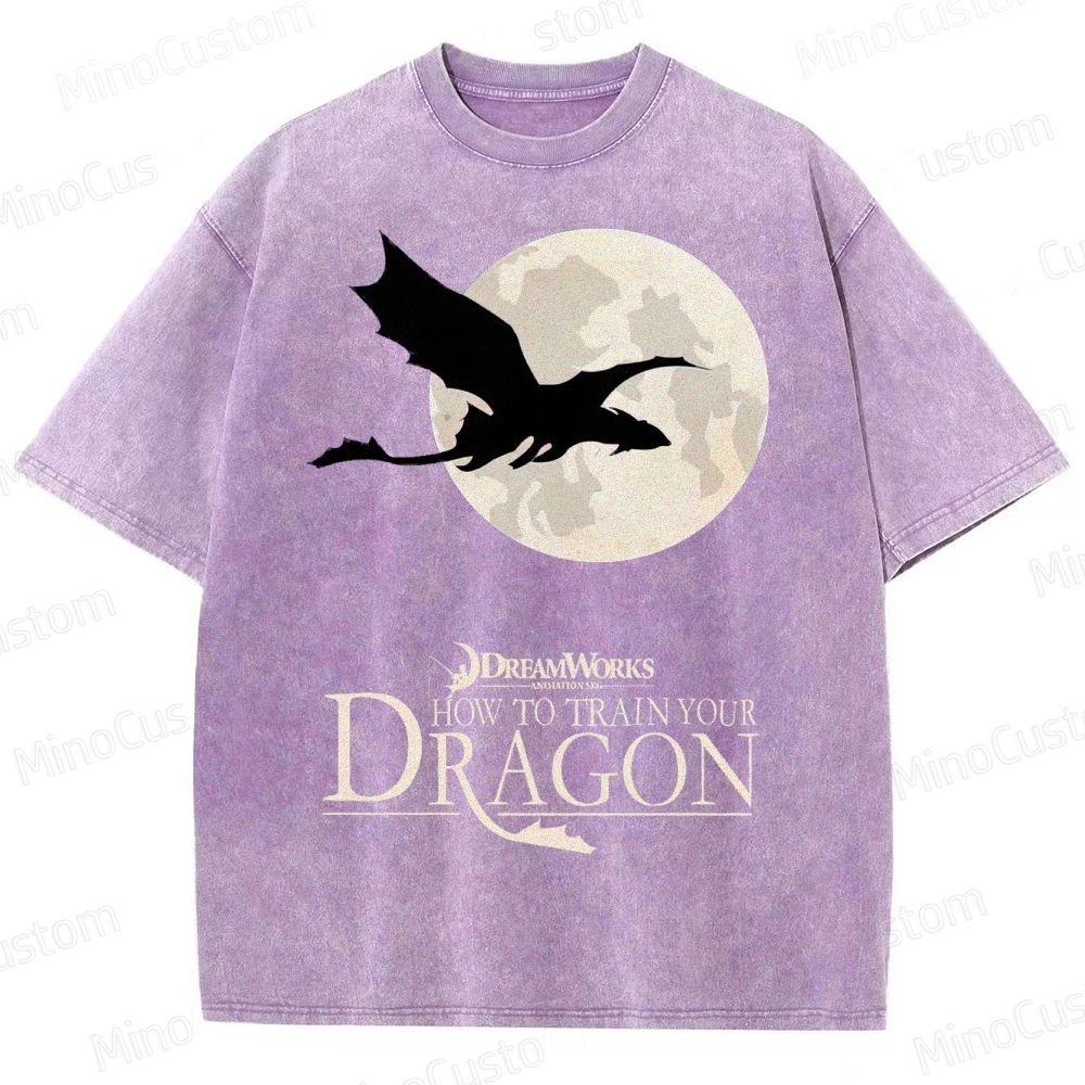 "How to Train Your Dragon" Moonlight Silhouette Washed T-Shirt