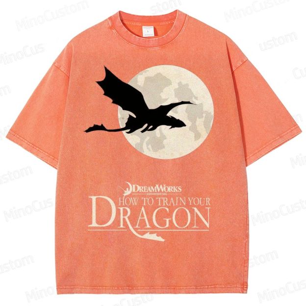 "How to Train Your Dragon" Moonlight Silhouette Washed T-Shirt