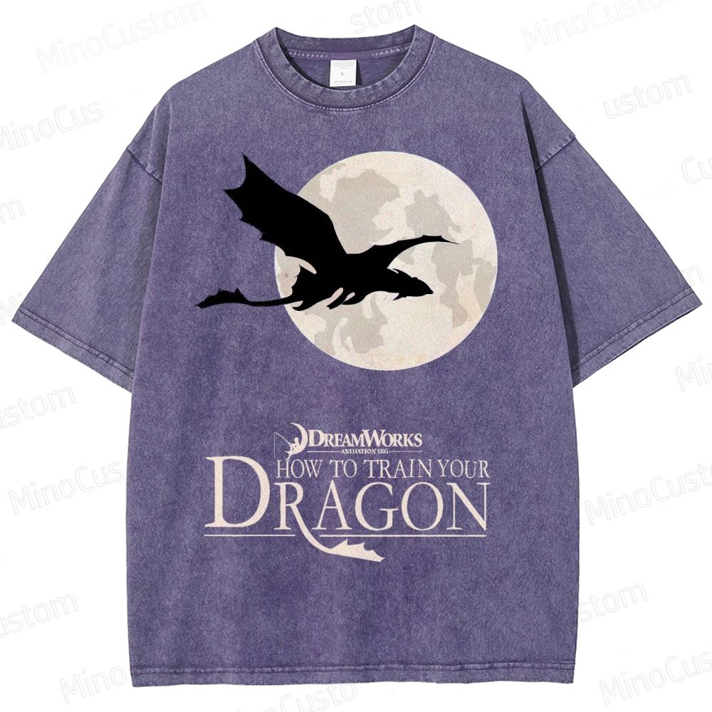 "How to Train Your Dragon" Moonlight Silhouette Washed T-Shirt
