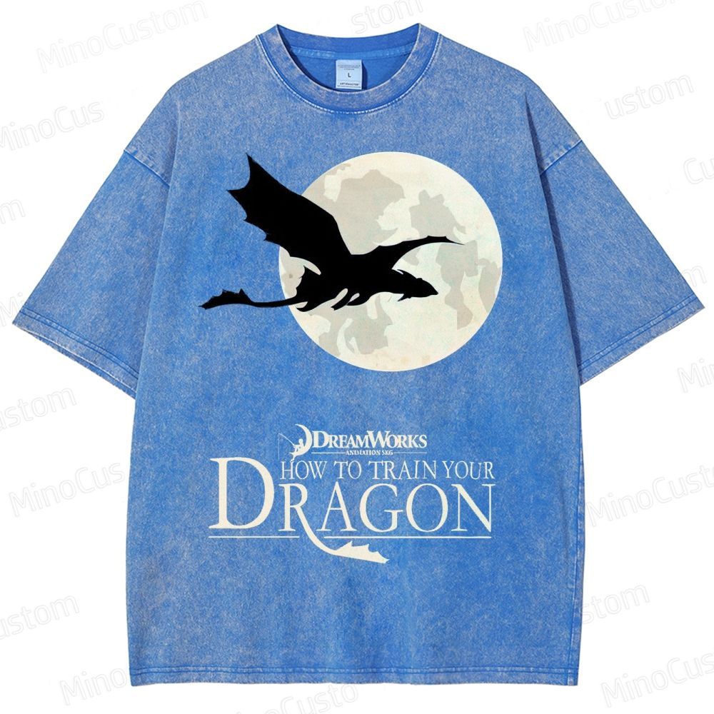 "How to Train Your Dragon" Moonlight Silhouette Washed T-Shirt
